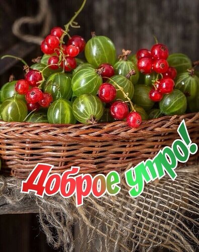 Открытка Доброе утро