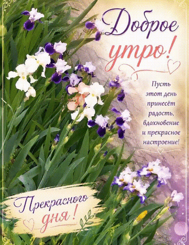 Анимированная открытка Доброе утро! Прекрасного дня! Пусть этот день принесёт радость, вдохновение и прекрасное настроение!