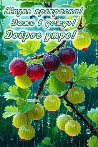 Открытка Доброе утро