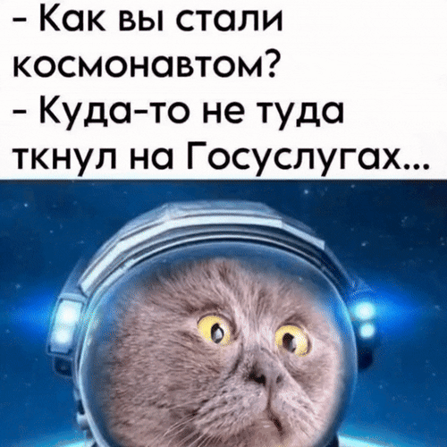 Анимированная открытка - Как вы стали космонавтом? - Куда-то не туда ткнул на Госуслугах...