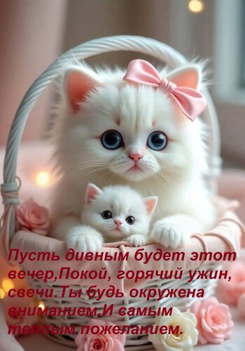 Открытка Пусть дивным будет этот вечер, Покой, горячий ужин, свечи. Ты будь окружена вниманием И самым теплым