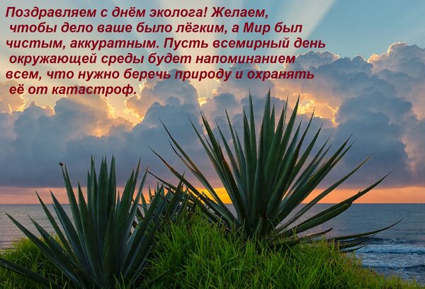 Открытка Поздравляем с днём эколога! Желаем, чтобы дело ваше было лёгким, а Мир был чистым, аккуратным. Пус