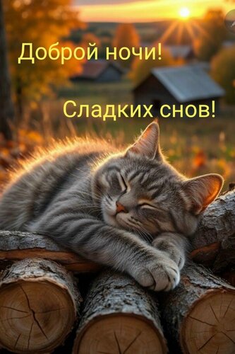 Открытка Доброй ночи