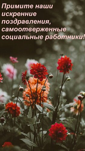 Открытка Примите наши искренние поздравления, самоотверженные социальные работники!