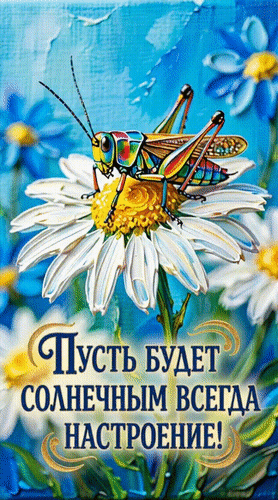 Анимированная открытка Пусть будет солнечным всегда настроение!