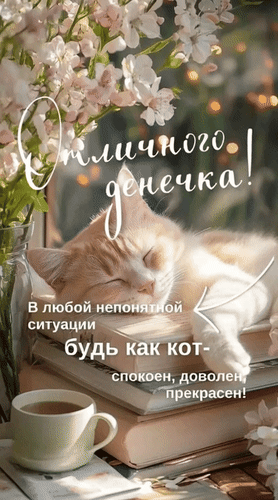 Анимированная открытка Отличного денёчка! В любой непонятной ситуации будь как кот - спокоен, доволен, прекрасен!