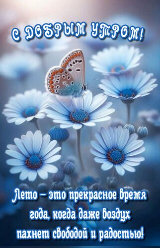 Открытка Лето - это прекрасное время года, когда даже воздух пахнет свободой и радостью!