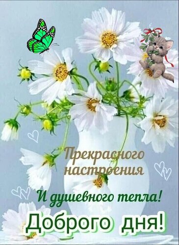 Открытка Прекрасного настроения. Доброго дня