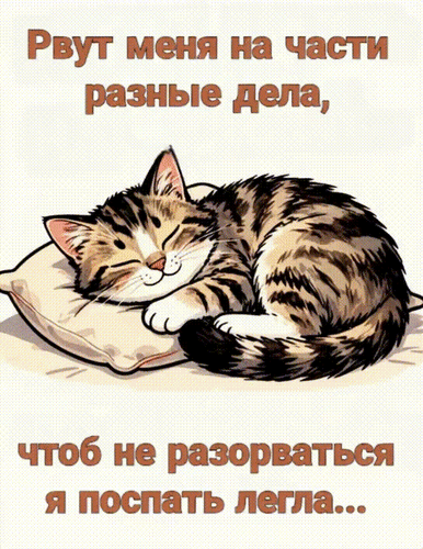 Анимированная открытка Рвут меня на части разные дела, чтоб не разорваться, я поспать легла...