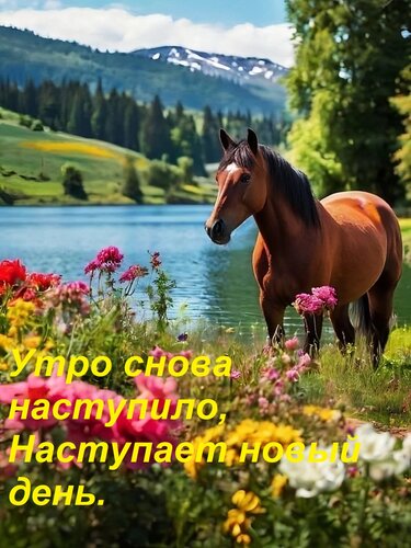 Открытка Утро снова наступило, Наступает новый день.