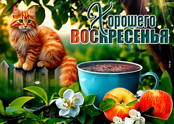 Анимированная открытка Воскресенье