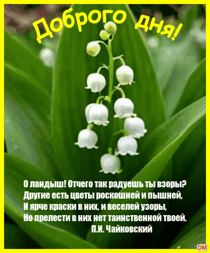Анимированная открытка Доброго дня!