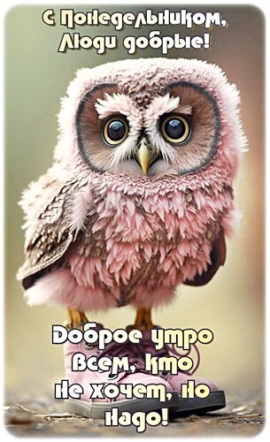 Открытка Доброе утро!