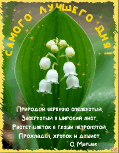 Анимированная открытка Хорошего дня