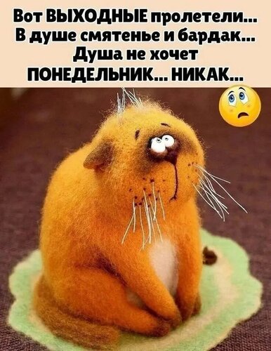 Открытка Вот выходные пролетели... В душе смятенье и бардак... Душа не хочет понедельник... Никак...