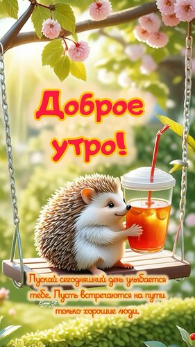 Открытка Доброе утро