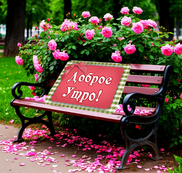 Анимированная открытка Доброе утро! Прекрасного дня!