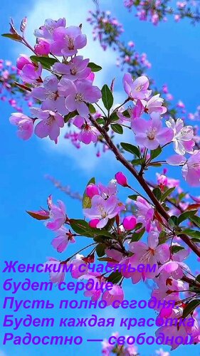 Открытка Женским счастьем будет сердце Пусть полно сегодня. Будет каждая красотка Радостно — свободной.