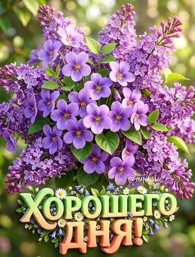 Открытка хорошего дня