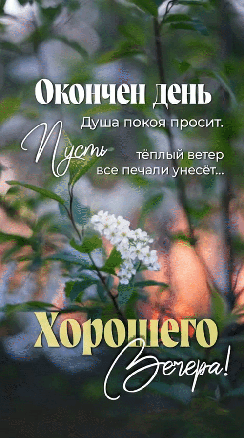 Анимированная открытка Добрый вечер