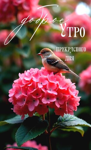 Открытка Доброе утро