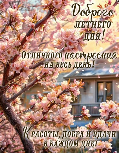 Открытка Доброго летнего дня