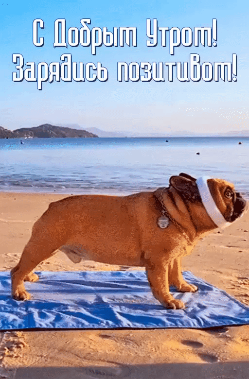 Анимированная открытка С Добрым утром! Зарядись позитивом!