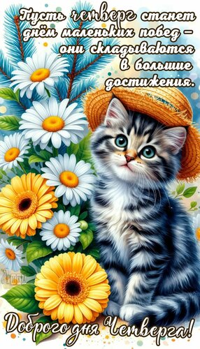 Открытка Добрый день, четверг