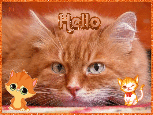 Привет котят 2. Мерцающие открытки привет. Привет котенок. Приветик от рыжего кота. Котик с надписью привет.