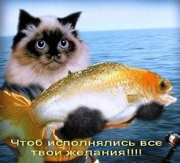 chtob-ispolnyalis-vse-tvoi-zhelaniya.jpg?z=126