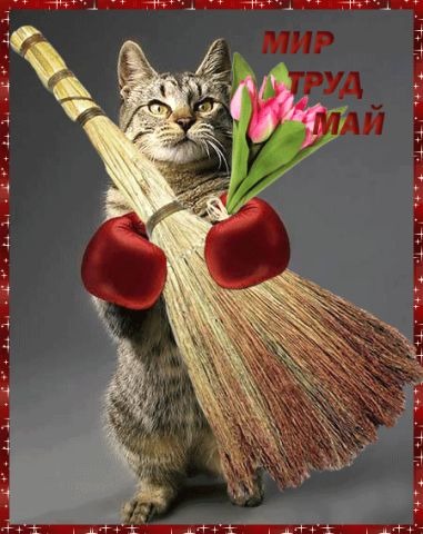 https://3d-galleru.ru/cards/3/90/1ck74jjli6al250h/1-maya.gif