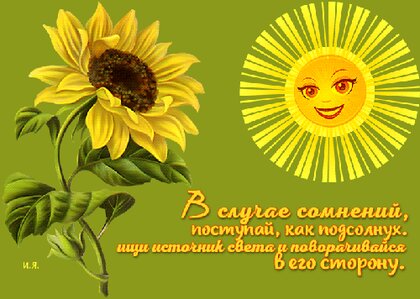 v-sluchae-somnenij-postupaj-kak-podsolnux.jpg?z=83