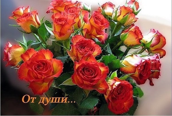 фото красивые открытки онлайн фото красивые открытки
