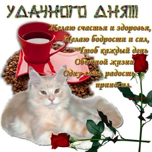 Как удалить и что это 56 Как удалить и что это 25
