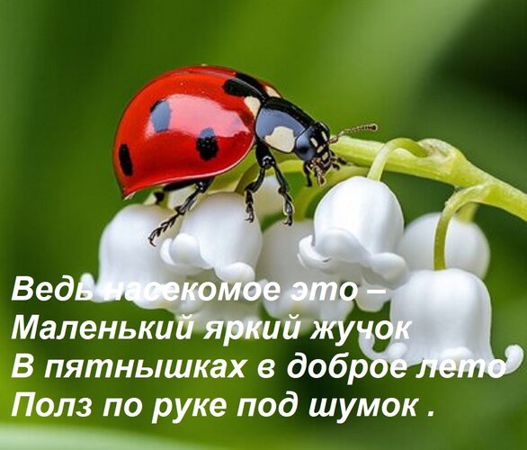 Открытка Ведь насекомое это – Маленький яркий жучок В пятнышках в доброе лето Полз по руке под шумок .