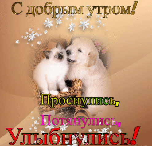 Анимированная открытка С добрым утром! Проснулись, Потянулись, улыбнулись!