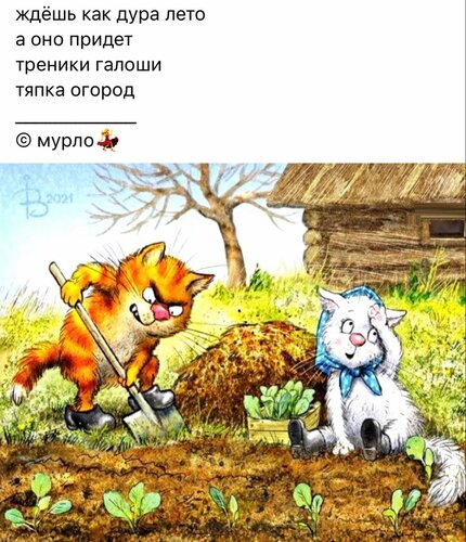 Открытка Ждёшь как дура лето