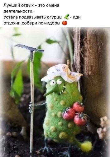 Открытка Лучший отдых это смена деятельности