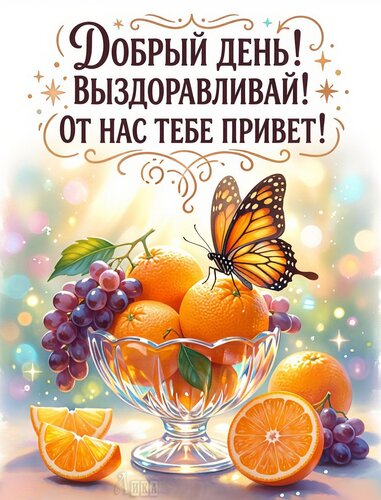Открытка Добрый день
