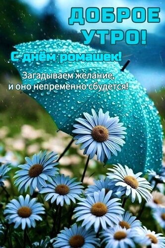 Открытка Доброе утро, с днём ромашек