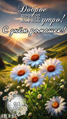 Открытка Доброе летнее утро, с днём ромашек
