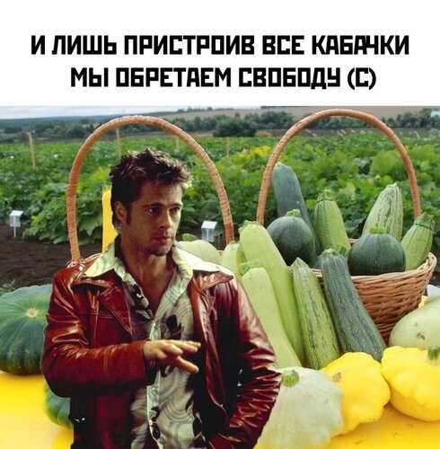 Открытка и лишь пристроив все кабачки мы обретаем свободу