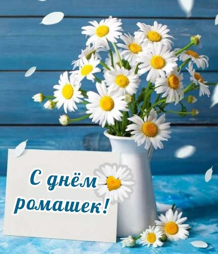 Открытка С днём ромашек