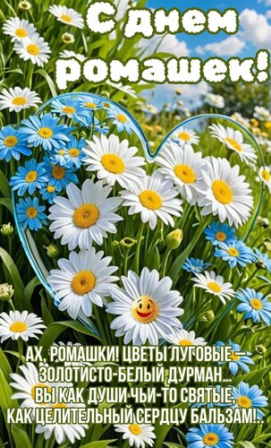 Открытка С днем ромашек