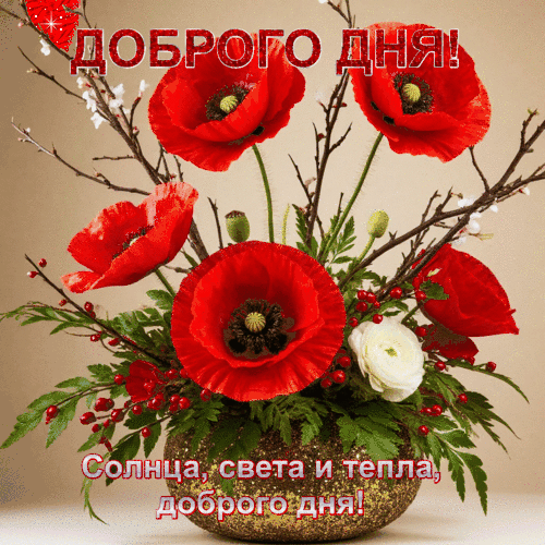Анимированная открытка Доброгодня! Солнца, света, тепла , доброго дня!
