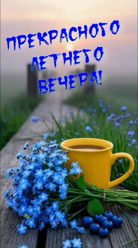 Анимированная открытка Прекрасного летнего вечера!