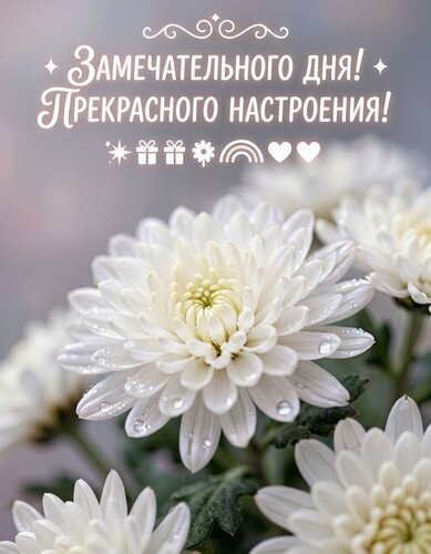 Открытка Добрый день