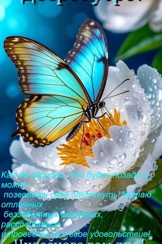Открытка Как же здорово, что будни позади и можно позволить себе отдохнуть! Желаю отличных беззаботных выхо