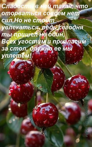 Открытка Сладость в ней такая, что оторваться совсем нет сил, Но не стоит увлекаться, ведь сегодня ты пришел