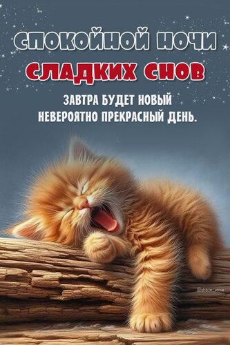 Открытка Спокойной ночи